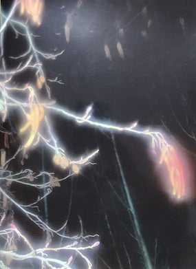 It's Funny How I Met This Horse