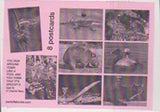 Postcard Set  You Run Around Town Like A Fool And You Think That It’s Groovy