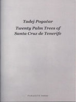 Twenty Palm Trees Of Santa Cruz De Tenerife